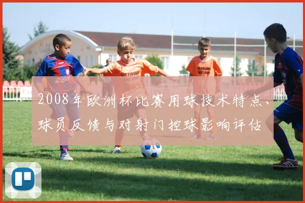 2008年欧洲杯比赛用球技术特点、球员反馈与对射门控球影响评估
