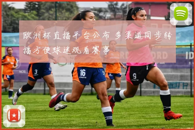 欧洲杯直播平台公布 多渠道同步转播方便球迷观看赛事