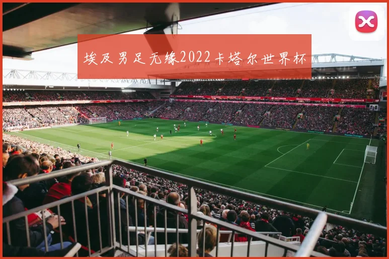 埃及男足无缘2022卡塔尔世界杯